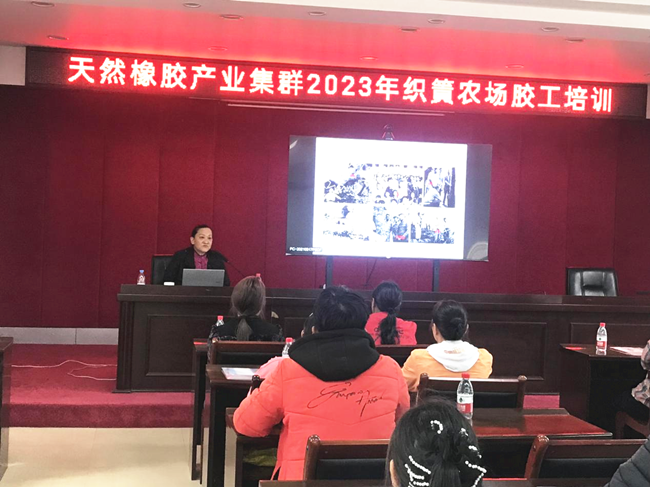 图片2_副本.png